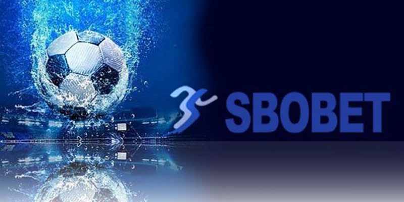 SBO Sports là sảnh thể thao nổi bật không nên bỏ qua trên hệ thống