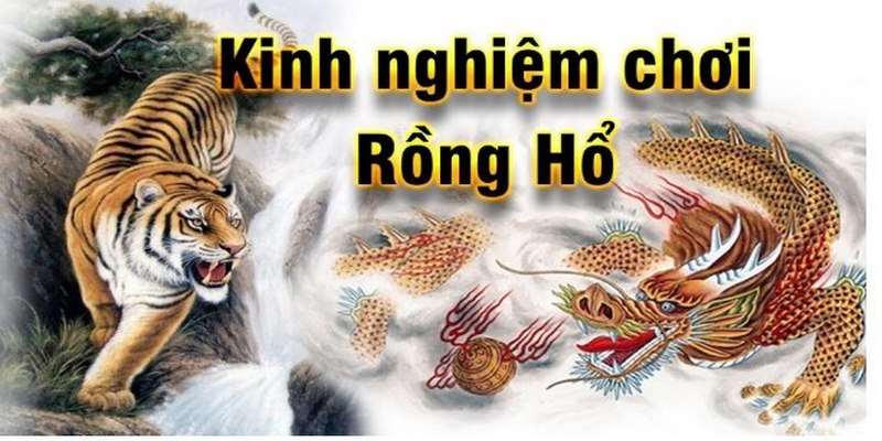 Rồng hổ winbet